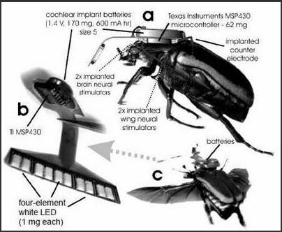 insecte-dron1381-0e2e5