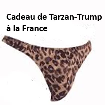 logo breve