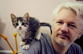 Resultado de imagen de el gato jean de julian assange